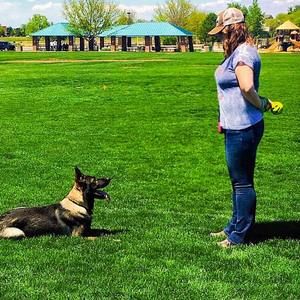 Meet your Posher, Grace